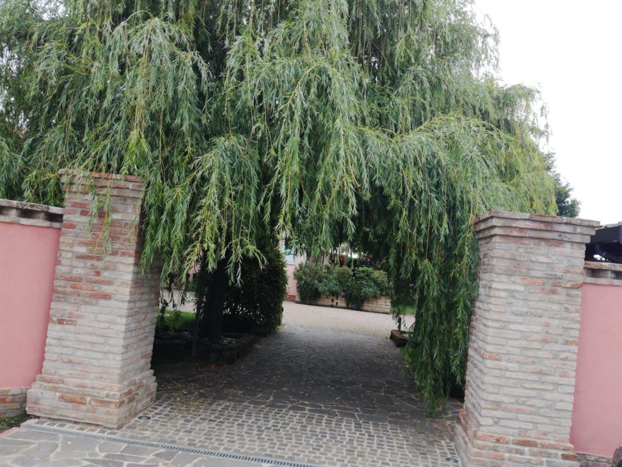 Agriturismo Ferretti Villa Massa Lombarda Eksteriør billede